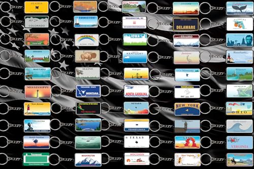 AMERICANPHOENIX Beautiful & Unique Keychains - USA Souvenir, Collectible Design,Flexible Silicone, Keyring Lanyard Accessory - Image 6