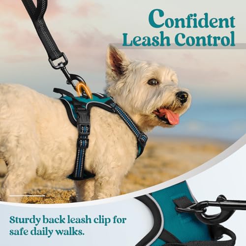 Image of rabbitgoo Dog Harness No Pull with 2 Leash Clips, Adjustable Soft Padded, Reflective Oxford No Choke Pet Vest with Easy Control Handle for Puppy, Blue Coral, XS | No Choke, Adjustable, Breathable Padded, 2 Lead Rings, Reflective, Easy Control for Walking Training, XS, Blue Coral