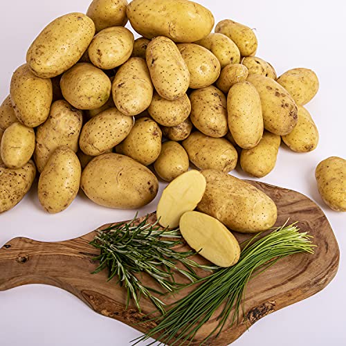 Hubert Riesinger Kartoffel Frühkartoffel Juwel aus bayerischen Landen 10kg geeignet für alle Gerichte | Ofenkartoffel | Salatkartoffel | vorwiegend festkochen Cover