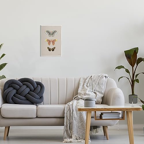 Image of Vintage Moth Specimens, 10 x 15 Inch Mounted Print on Wall Plaque
