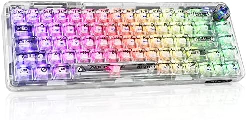 CHICHEN 60% Portable Mechanical Gaming Keyboard,Hot-swappable RGB Backlit Compact 68 Clear Keycaps,2.4Ghz Wireless/Bluetooth/USB-C,Transparent Gasket Ice Crystal Switch (Transparent White)