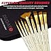 DUGATO 15pc Artist Paint Brush Set with Pop-Up Case, Palette Knife & Sponges - Nylon Hair for Acrylic, Oil, Watercolor, Gouache, Model & Craft Painting