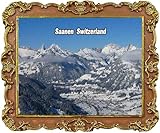 saanen bank netbanking Costruzione durevole: realizzato in resistente poliresina per garantire una qualità duratura e colori vivaci che non sbiadiscono nel tempo