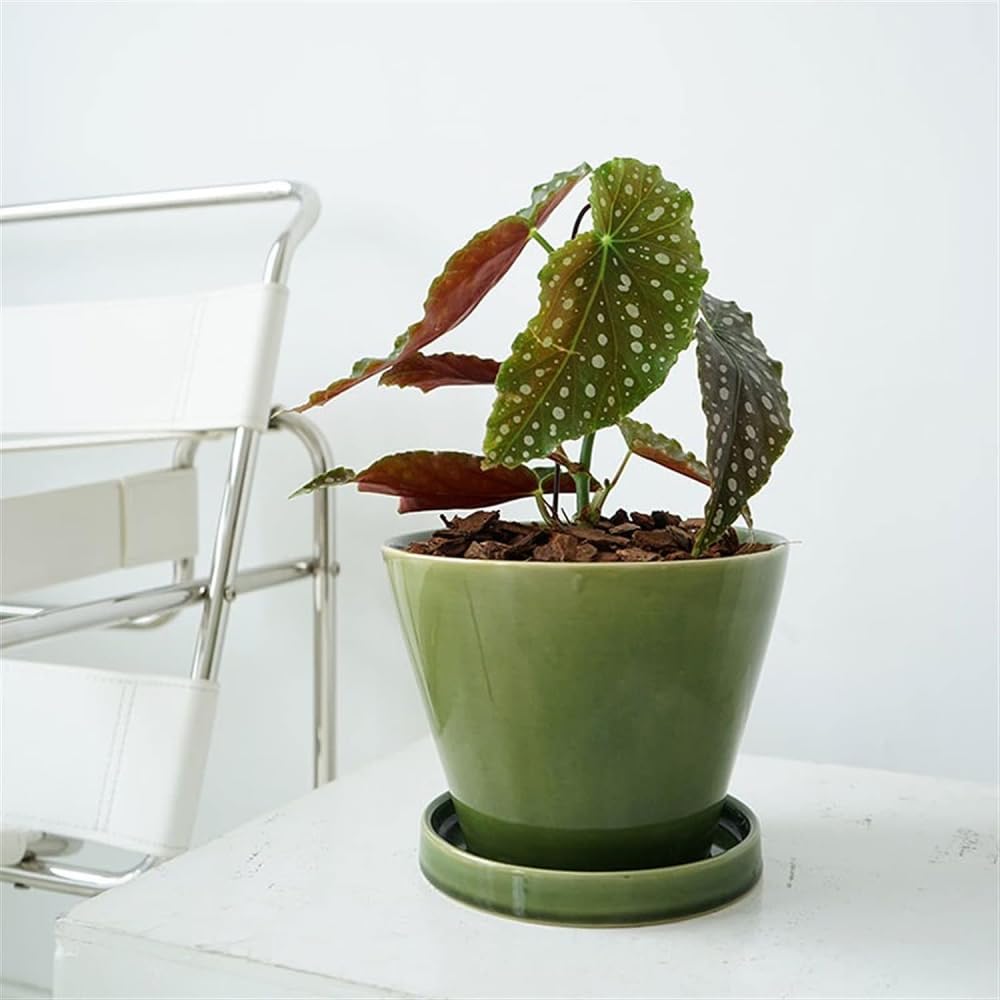 Doniczka Ceramiczna Prosta Okrągła Otwarta Doniczka Zielona Doniczka Z Tacką Nadaje Się Do Sadzenia Orchidei Kaktusów Sukulentów Dekoracyjna Doniczka-20 * 16 Cm