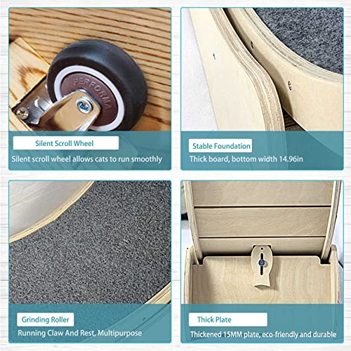 Tapis de course d'intérieur pour chat sédentaire avec grande roue de 109cm