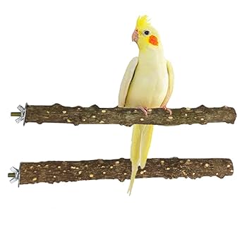 止まり木 CoCo 止まり木 CoCo 鳥 止まり木 爪とぎ パーチ セキセイインコ
