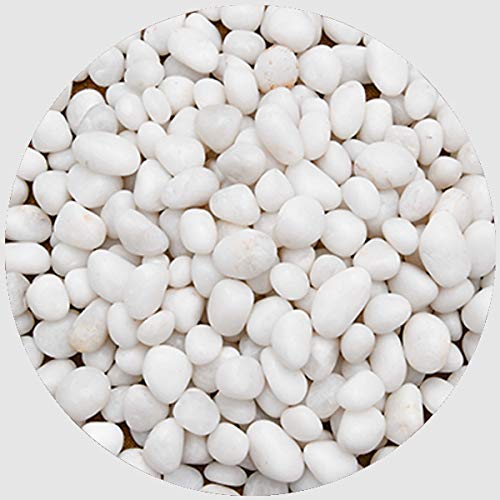 Creative Farmer 1Kg Polished Super Marble Pebbles Medium Size Pebbles for Fish Bowl & Multi Purpose Pack (B0828GLGW6) Amazon Price History, Amazon Price Tracker