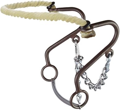 Westen at Rope Nose Little S Hackamore