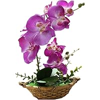 Amazon｜胡蝶蘭 造花 人工観葉植物 光触媒加工 卓上型 船型の鉢植 石鉢