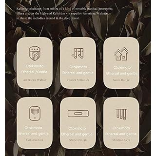 21 Key Kalimba, Acacia Instrument Musique Finger Pouce Piano Handguard Musical, Débutants Finger Piano Instrument Pour… - Les Beatles, Paul McCartney, John Lennon, RIngo Starr, George Harrison 21 Key Kalimba, Acacia Instrument Musique Finger Pouce Piano Handguard Musical, Débutants Finger Piano Instrument Pour… – Image 7