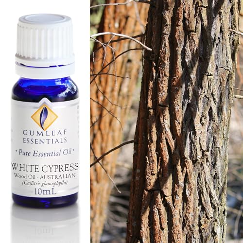 Gumleaf Essentials White Cypress Wood Essential Oil - 10ml, Cruelty Free & Vegan, 100% Pure & Natural