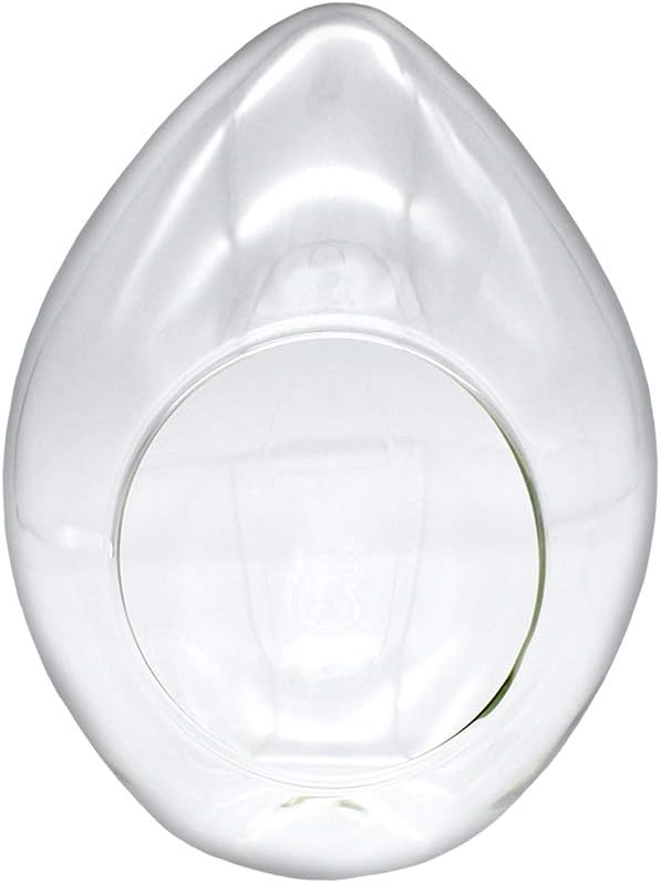 6.25-Inch Glass Teardrop Sitting Vase Terrarium - Perfect for Succulents, Air Plants, Wedding Centerpieces, Home Decor and Indoor Plants