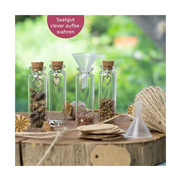 WeddingTree 30 x 15ml Tubos de Ensayo con Tapón de Corcho para Bodas - Set de Frascos con Corcho y Llavero de Corazón Invitados Bodas, Decoración, Frasco para Especias - Imagen 7