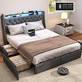 SADENICEL Queen Bed Frame with...