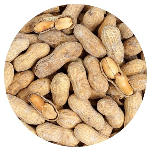 Peanuts In Shell Roasted and Salted 2 Pound Bag The Hampton Popcorn & Candy Company