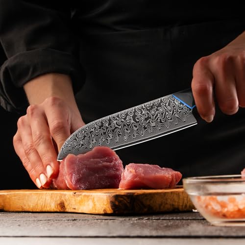 Image of FINTISO 7-Inch Kitchen Knife, 67-Layer Japanese Damascus Steel Chef's Santoku With G10 Handle - Professional Cooking Tool for Home and Kitchen