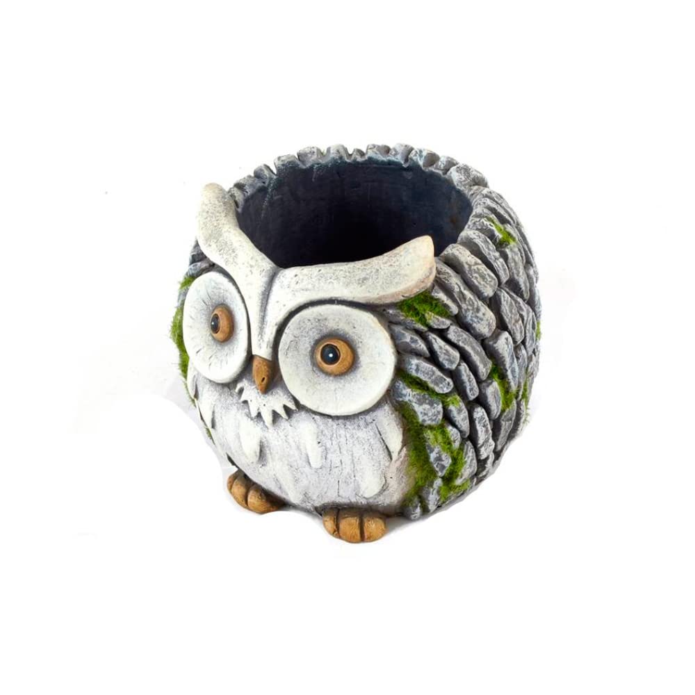 FEDOROwl Planter 15.5 x 15.2 x 13.2 cm