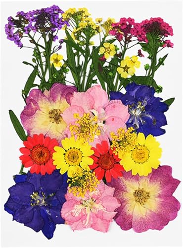 Flor seca pequeña artesanal para decoración y manualidades miniatura 1