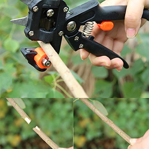 TIMESETL Grafting Tool Snoeischaar Kit,Enten Snijgereedschap Set Professionele Tuin Enten Snoeischaar Plant Tak Tak… - Afbeelding 6