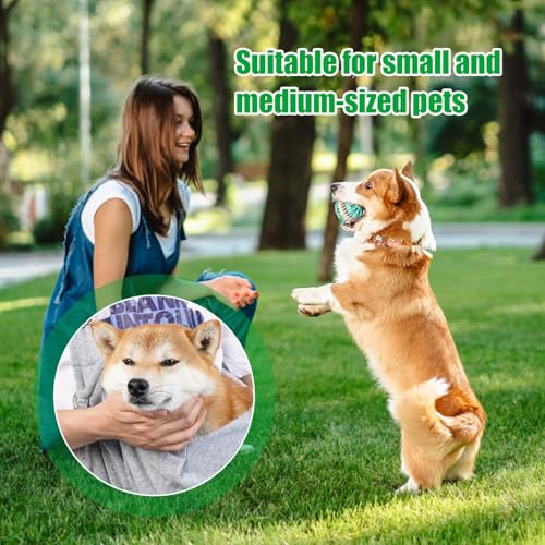 Hundetragetuch Hundetransporttasche Strapazierfähiger Tiertransporter Für Hunde Und Katzen Für Aktivitäten Im Freien,Wochenendausflüge Und Spaziergänge Mit Hunden Und Katzen(Grey)