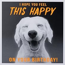 Paperlink Funny Birthday Card for Men/Boys - General Humour Male Card - Hope You Feel This Happy - Smiling Labrador Dog - Eco-Friendly & Recyclable - Made in England
