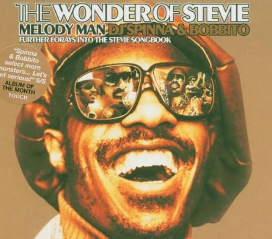 洋楽 DJ SPINNA & BOBBITO/THE WONDER OF STEVIE DJ Spinna & Bobbito – The Wonder Of Stevie (Melody Man