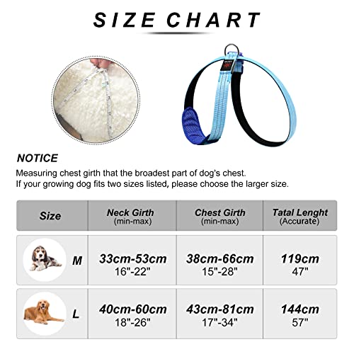 PZRLit Pettorina per cani ricaricabile tramite