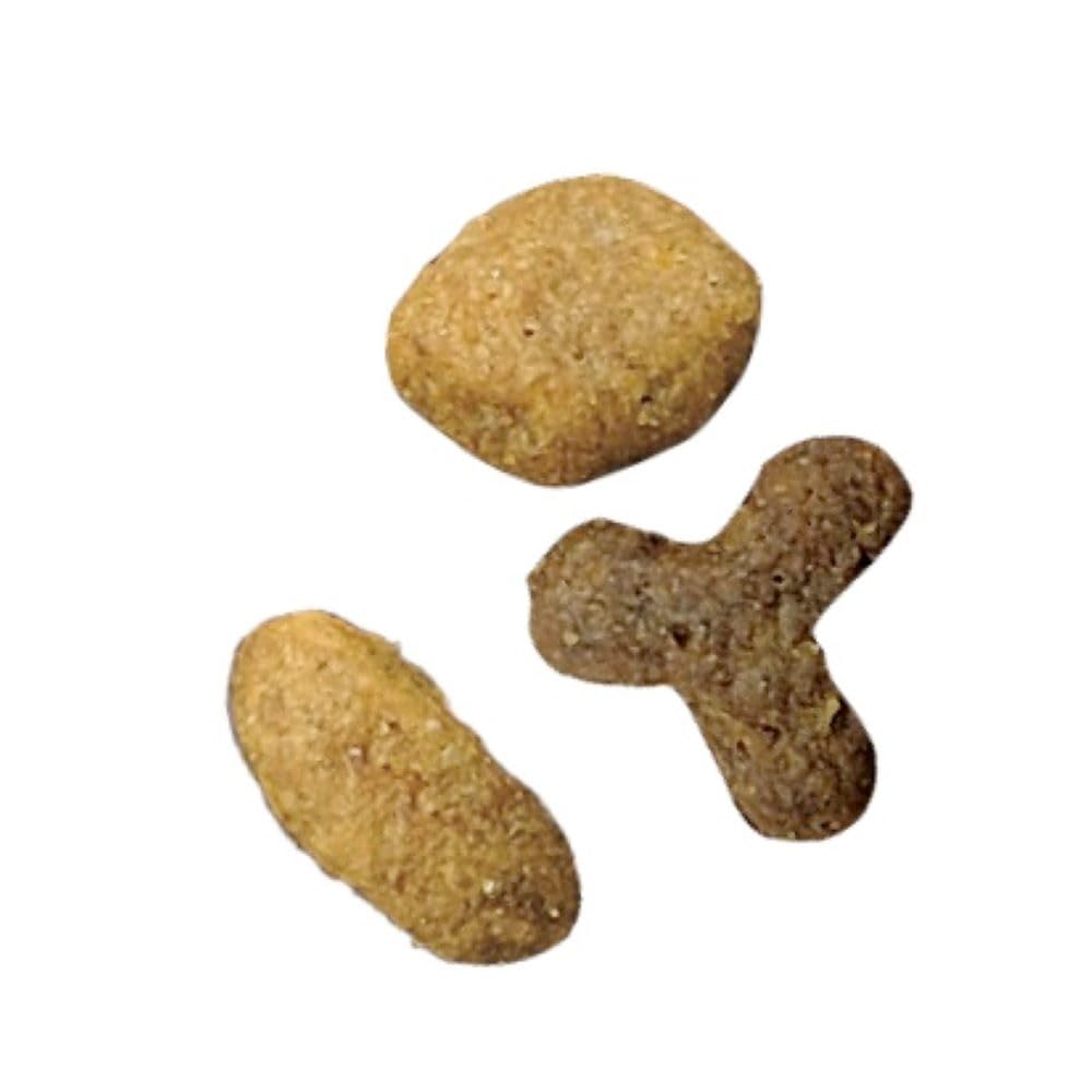 Amazon | ピュリナ ワン ピュリナワンキャット 美味を求める成猫