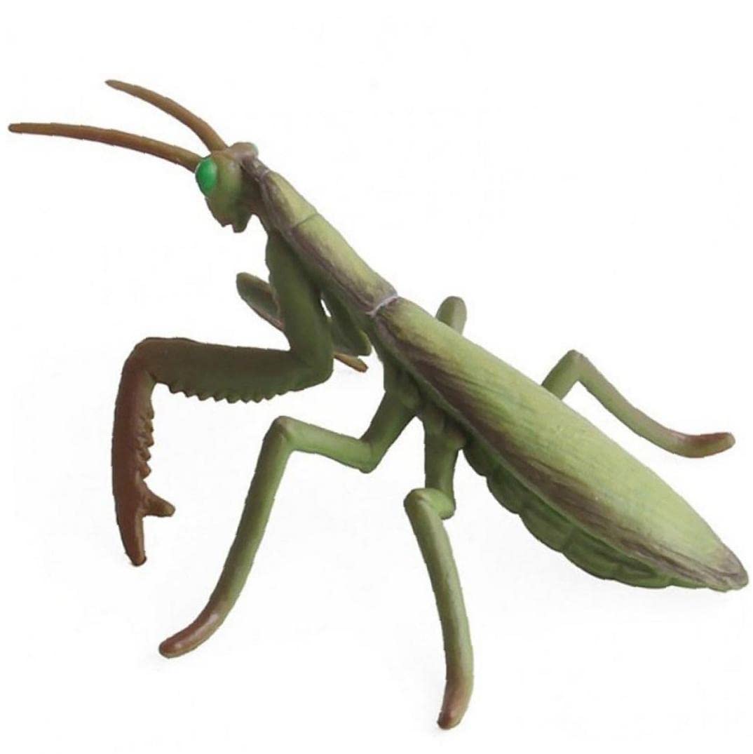 カマキリ　フィギュア　真鍮製　添景　盆栽　置物 Amazon.co.jp: 縁起物 カマキリ 真鍮製 オブジェ 置物 工芸品