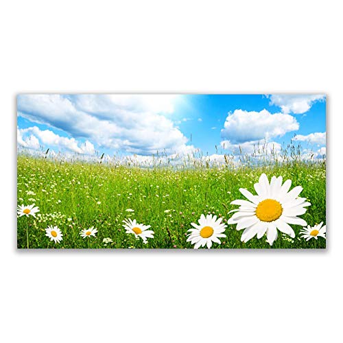 Tableau Mural Moderne Verre Acrylique 120x60cm Plastique Imprimé Daisy - 2