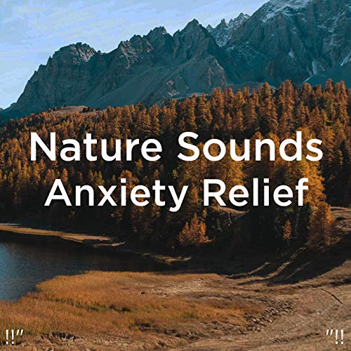 Amazon Music Deep Sleep and Sleep Sound Libraryの!!" Nature Sounds
