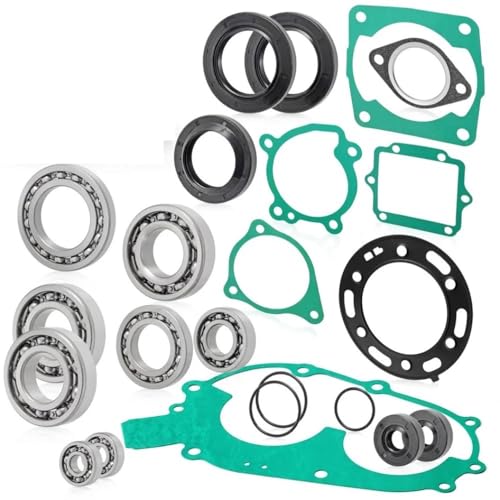 Kit de roulement de moteur SBSX 400L avec joints spi étanches 3086748 3084731