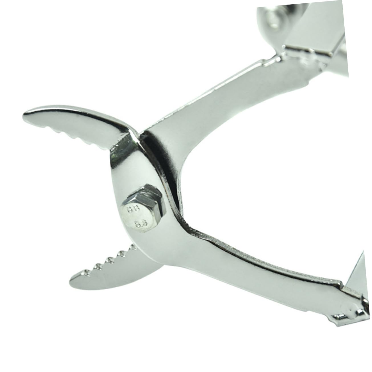 Happyyami 7 Pz Accessori Per L'apicoltura Attrezzi Per Il Dell'apicoltura Attrezzi Per L'apicoltura Strumenti Per L'apicoltura Attrezzo Di Legno Ape Regina