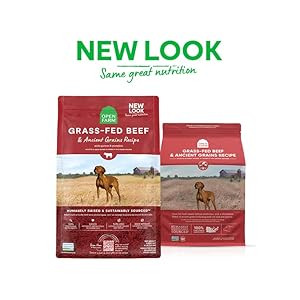 Open Farm Historical Grains Dry Canine Meals, Humanely Raised Meat Recipe with Healthful Grains and No Synthetic Flavors or Preservatives (Grass-Fed Beef Historical Grain, 4 Pound (Pack of 1))