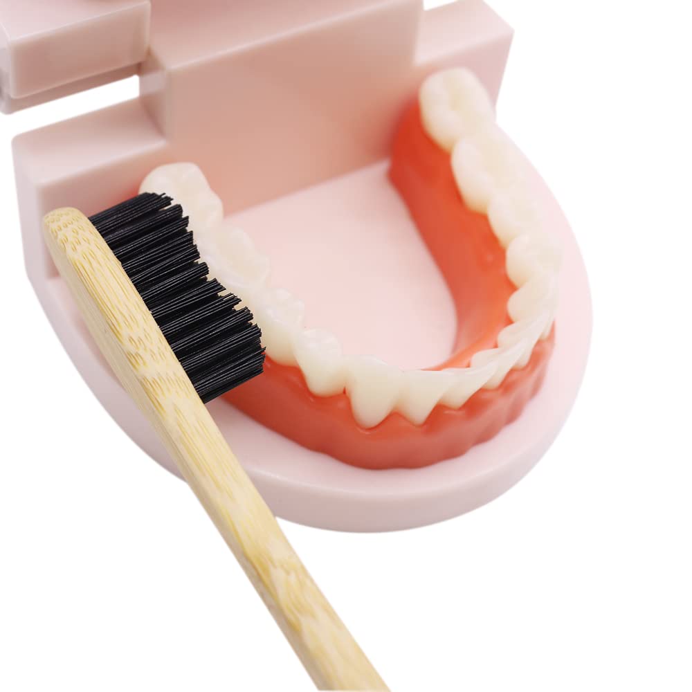 N-amboo Lot de 8 brosses à dents extra dures Bamoo à poils fermes