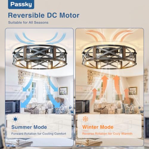 Image of Passky 24 inch Caged Ceiling Fans with Lights and Remote, Low Profile Fandelier
