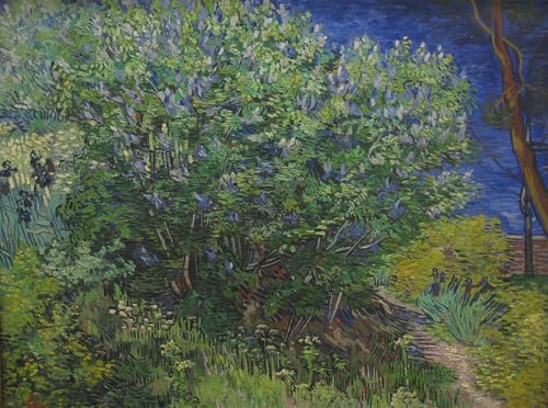 Tableau Vincent Van Gogh Buisson 60x90cm pour décoration murale de salon
