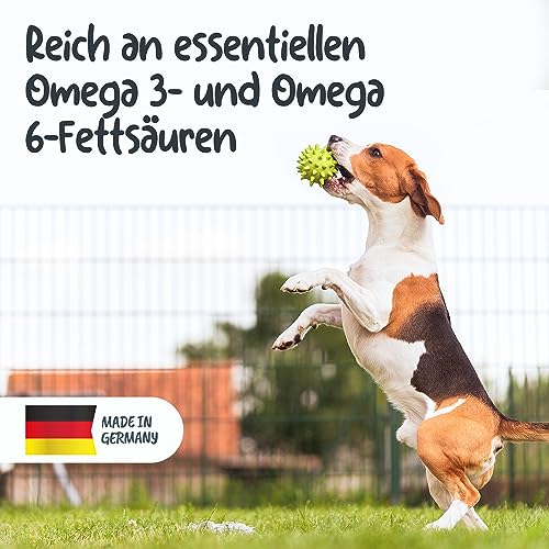 Pets PROTECT 100% Grünlippmuschel-Pulver für Gelenk-Funktion | Sehr hoher Gehalt an Glykosaminoglykanen (3,5%) | Beste Vollfettqualität | Ohne Zusätze | Hund & Katze | 150 g Grünlippmuschelpulver