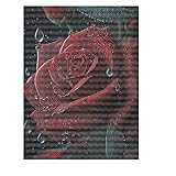 Adult 5d Diamond Painting Set, Red RoseDIY Full Diamond Set Diamond Painting Crystal Rhinestone Cross-Stitch Art and Crafts 8 x 12 inches