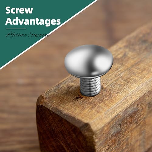 Image of (16 Sets) 1 /4-20 x 2-1 /2 Carriage Bolts with Nuts and Washers, 304 Stainless Steel Round Head Square Neck 1 /4 Carriage Bolts Screws, Full Thread for Outdoor