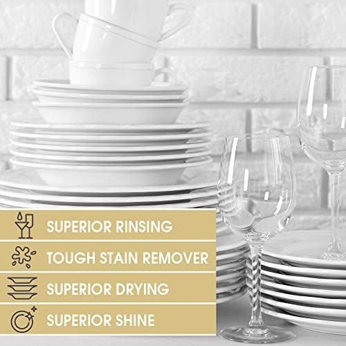 ginger lily farms botanicals plant-based 4-in-1 dishwasher rinse aid 100 vegan amp cruelty-free fragrance-free 1 gallon 128 fl oz refill 12800 fl oz pack of 1