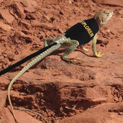 Image of PEUTIER Bearded Dragon Leash and Harness Set, Escape Prevention Bearded Dragon Accessories Adjustable Lizard Reptiles Harness for Chameleon Small Pet Amphibian Outdoor Safe Walk, Medium, black