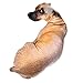 HSDCK Divertente tiro Cuscino Cane 3D Modello Cuscino Ammortizzatore Divertente Peluche Giocattolo per Cani a Forma di tiro del Cuscino farcito Molle Bambola Animale,A,70cm