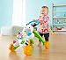 Fisher-Price Andador Cebra Parlanchina Primeros Pasos con Musica y Luces, Correpasillo +...