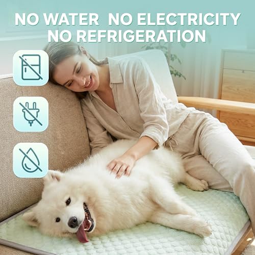 Image of PatiencET Large Dog Cooling Mat, 32 x 44 in No-Gel Cooling Pad for Dogs, Cool Touch Pet Mat with Ice-Dot Texture, Washable Summer Dog Mat for Crate, Kennel, Floor, Sofa, Car, Light Green