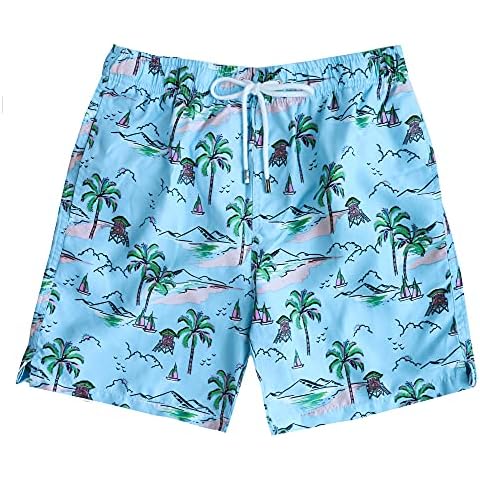 INGEAR Performance Men's Quick Dry SPF50+ Swim Trunks Water Shorts Swimsuit Beach Shorts with Mesh Lining - - Small Cover