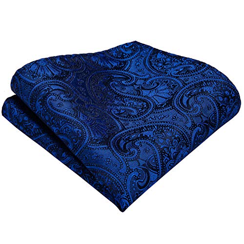 Dibangu Silk Royal Blue Paisley Ties For Men Party Wedding,Woven Gift Necktie And Handkerchief Cufflinks With Tie Clip Formal #TOP4