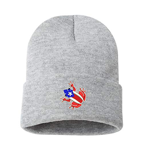DSY Lifestyle Puerto Rico Flag Coqui Frog Embroidered Unisex Beanie Hat - Puerto Rican Pride Hat (Heather Grey)