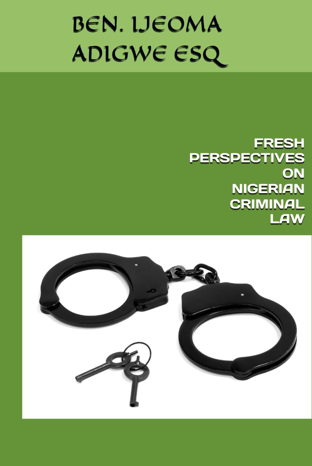 FRESH PERSPECTIVES ON NIGERIAN CRIMINAL LAW