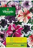 Semillas de PETUNIA SUPERBISSIMA VAR. FLORES S-1, 0,04 gr